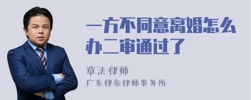 一方不同意离婚怎么办二审通过了