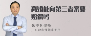 离婚能向第三者索要赔偿吗