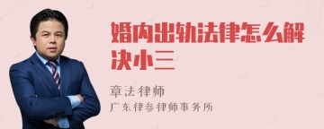 婚内出轨法律怎么解决小三