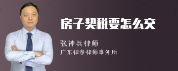 房子契税要怎么交