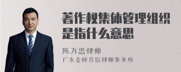 著作权集体管理组织是指什么意思