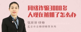 网络诈骗3000多人现在被抓了怎么办