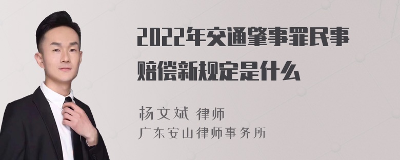 2022年交通肇事罪民事赔偿新规定是什么