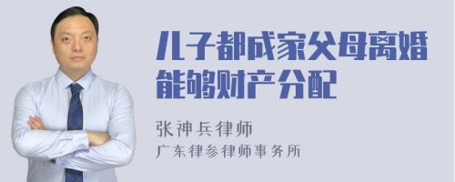 儿子都成家父母离婚能够财产分配