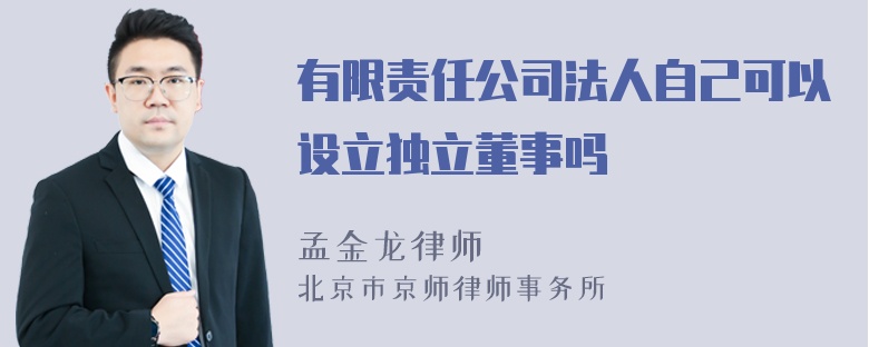 有限责任公司法人自己可以设立独立董事吗