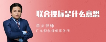 联合投标是什么意思