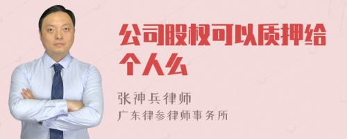 公司股权可以质押给个人么