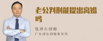 老公判刑能提出离婚吗