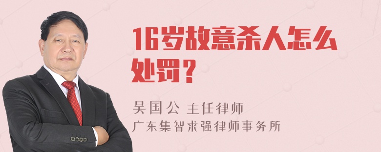 16岁故意杀人怎么处罚？