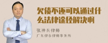 欠债不还可以通过什么法律途径解决啊