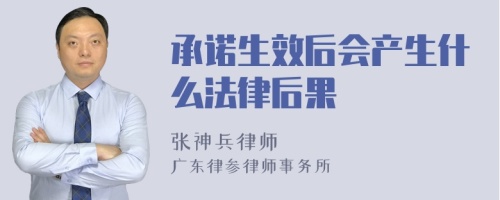 承诺生效后会产生什么法律后果