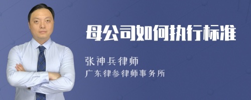 母公司如何执行标准