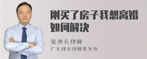 刚买了房子我想离婚如何解决