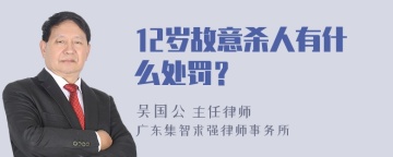 12岁故意杀人有什么处罚？