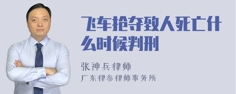 飞车抢夺致人死亡什么时候判刑