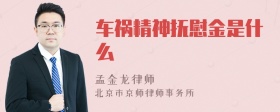 车祸精神抚慰金是什么