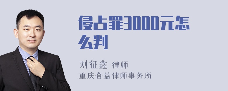 侵占罪3000元怎么判