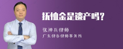 抚恤金是遗产吗？