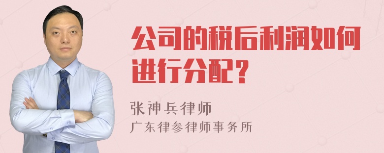 公司的税后利润如何进行分配？