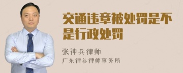 交通违章被处罚是不是行政处罚