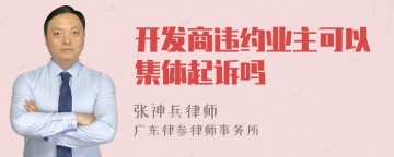 开发商违约业主可以集体起诉吗