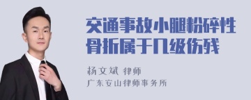 交通事故小腿粉碎性骨折属于几级伤残