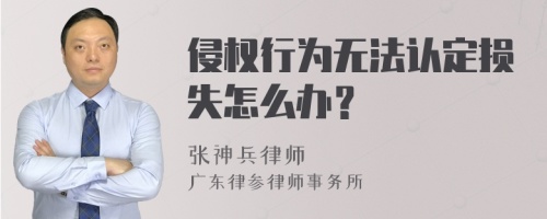 侵权行为无法认定损失怎么办？