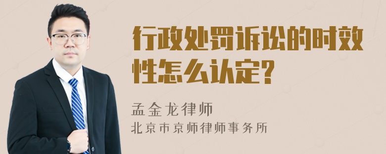 行政处罚诉讼的时效性怎么认定?