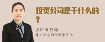 投资公司是干什么的?