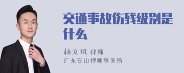 交通事故伤残级别是什么