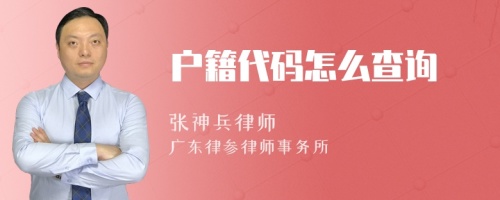 户籍代码怎么查询