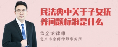 民法典中关于子女抚养问题标准是什么