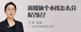 离婚俩个小孩怎么分配2022