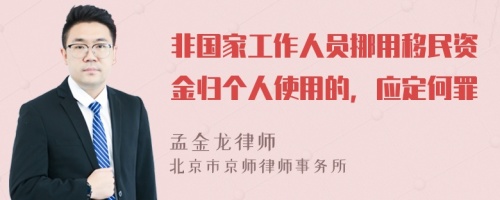 非国家工作人员挪用移民资金归个人使用的，应定何罪