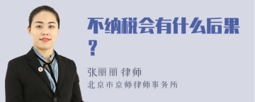 不纳税会有什么后果？