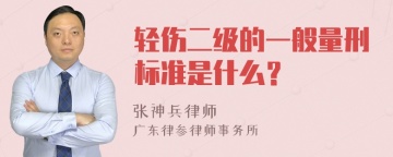 轻伤二级的一般量刑标准是什么？