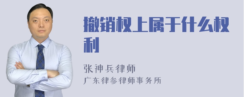 撤销权上属于什么权利