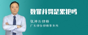 数罪并罚是累犯吗