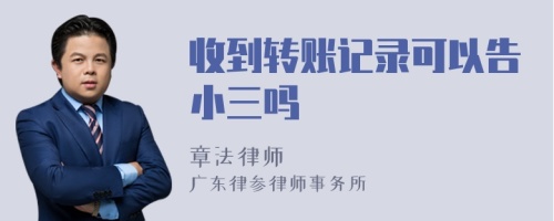 收到转账记录可以告小三吗