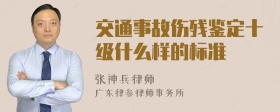 交通事故伤残鉴定十级什么样的标准