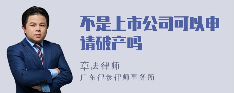 不是上市公司可以申请破产吗