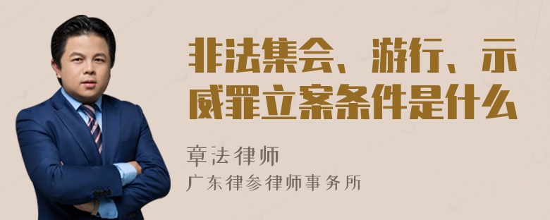 非法集会、游行、示威罪立案条件是什么