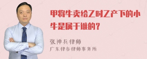 甲将牛卖给乙时乙产下的小牛是属于谁的？