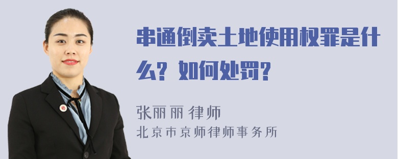 串通倒卖土地使用权罪是什么? 如何处罚?