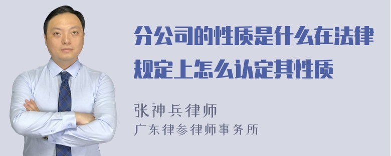 分公司的性质是什么在法律规定上怎么认定其性质