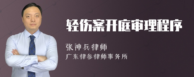 轻伤案开庭审理程序