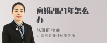 离婚2021年怎么办