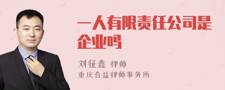 一人有限责任公司是企业吗