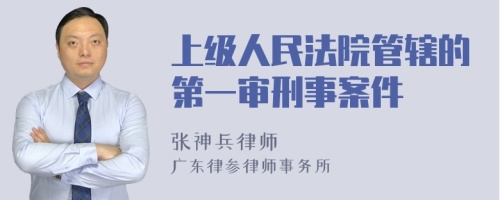 上级人民法院管辖的第一审刑事案件