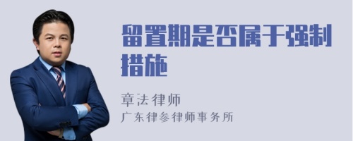 留置期是否属于强制措施